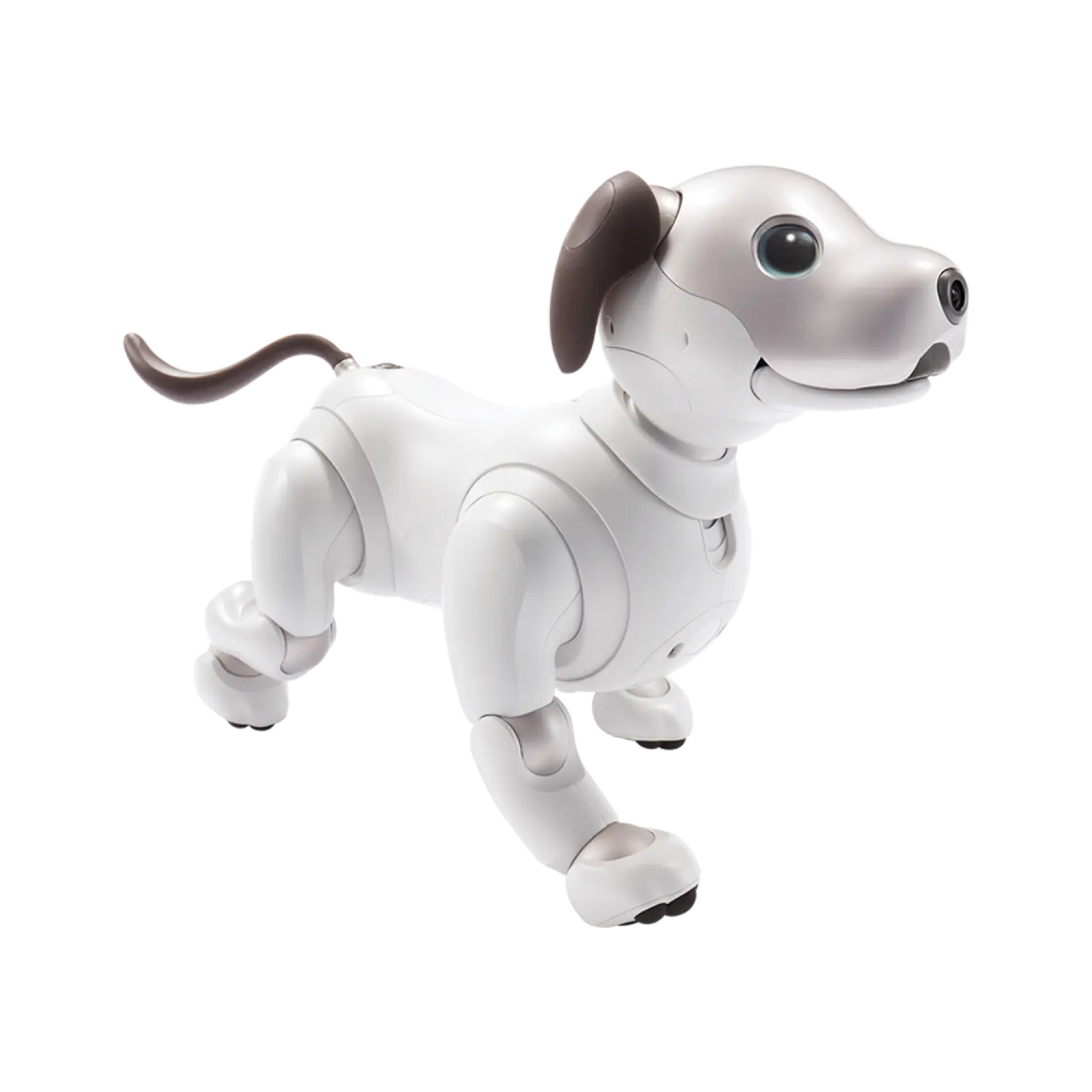Робот-собака Sony Aibo
